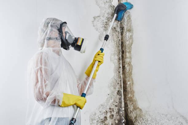 Best Mold Remediation  in Lake Caroline, VA