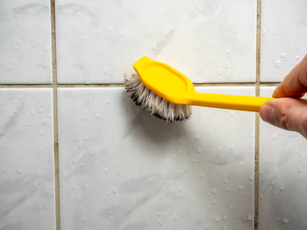 Best Mold Remediation Experts  in Lake Caroline, VA