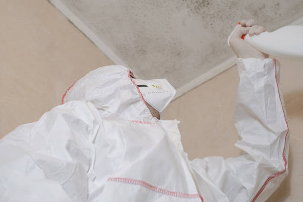 Best Toxic Mold Removal  in Lake Caroline, VA