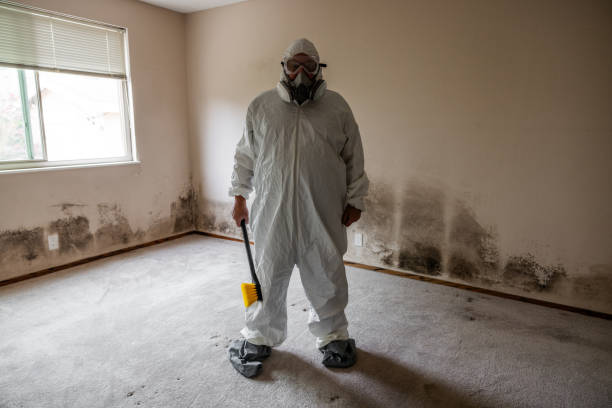 Best Residential Mold Removal  in Lake Caroline, VA