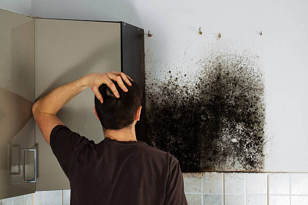 Best Black Mold Removal  in Lake Caroline, VA