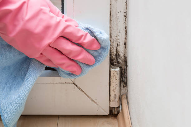Best Professional Mold Removal  in Lake Caroline, VA
